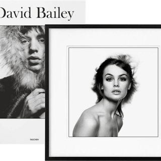 David Bailey: Art Edition