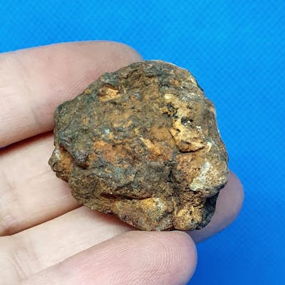Sericho Neuer Pallasit Aus Kenia Stein Eisen Meteorit 30 3