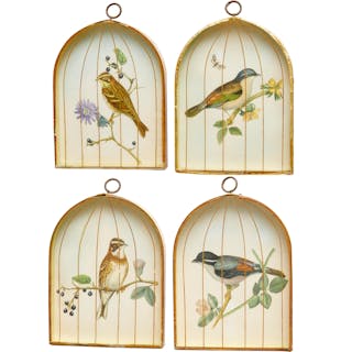 Set (4) Bird engravings in birdcage shadow boxes