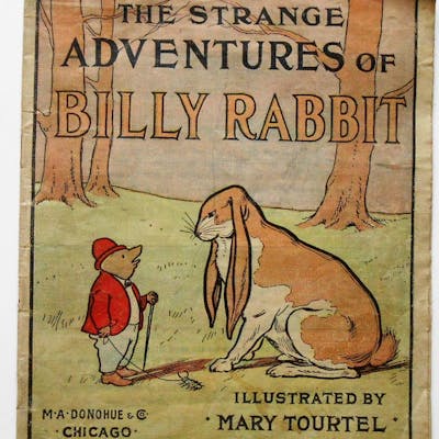 The Stange Adventure Of Billy Rabbit Mary Tourtel Children's | Barnebys