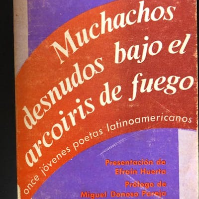 Muchachos Desnudos Bajo El Arcoiris De Fuego Barnebys Muchachos Desnudos Bajo El Arcoiris De Fuego Barnebys